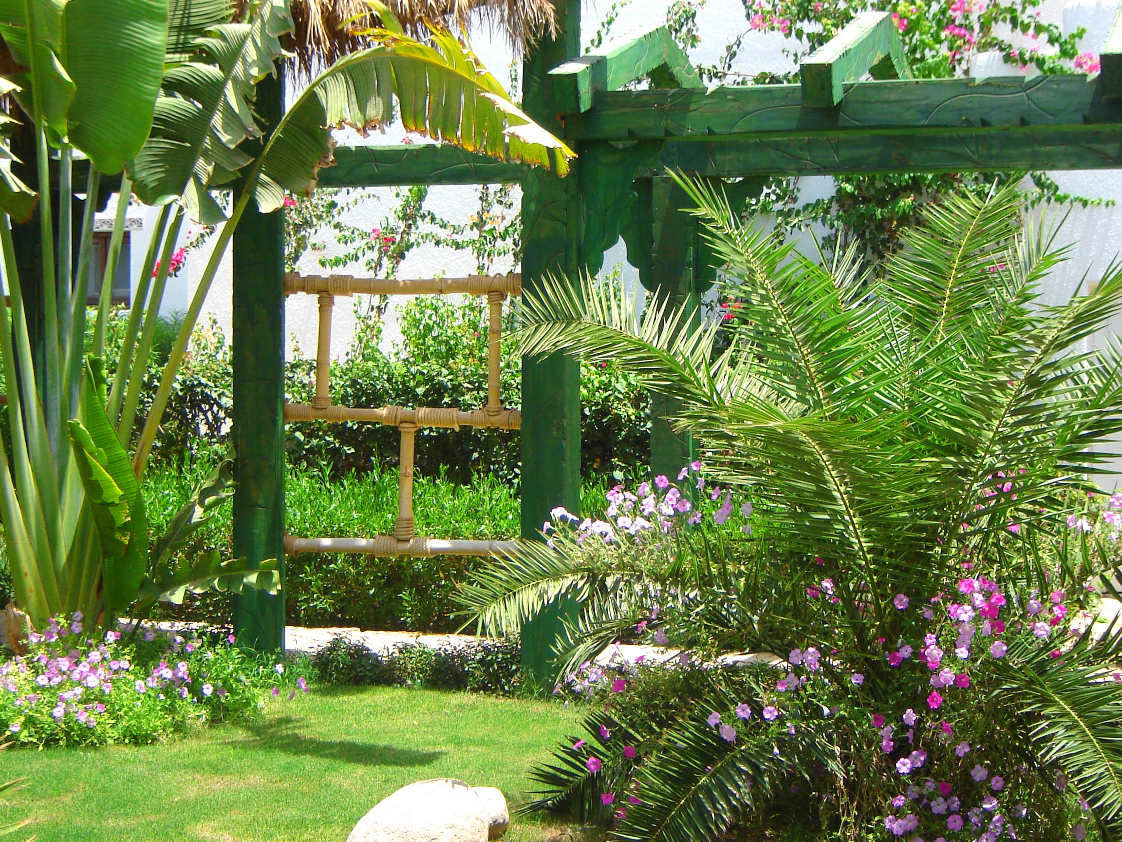 Delta Sharm Resort ,Official Web, Delta Rent, Sharm El Sheikh, South Sinai, Egypt Eksteriør bilde